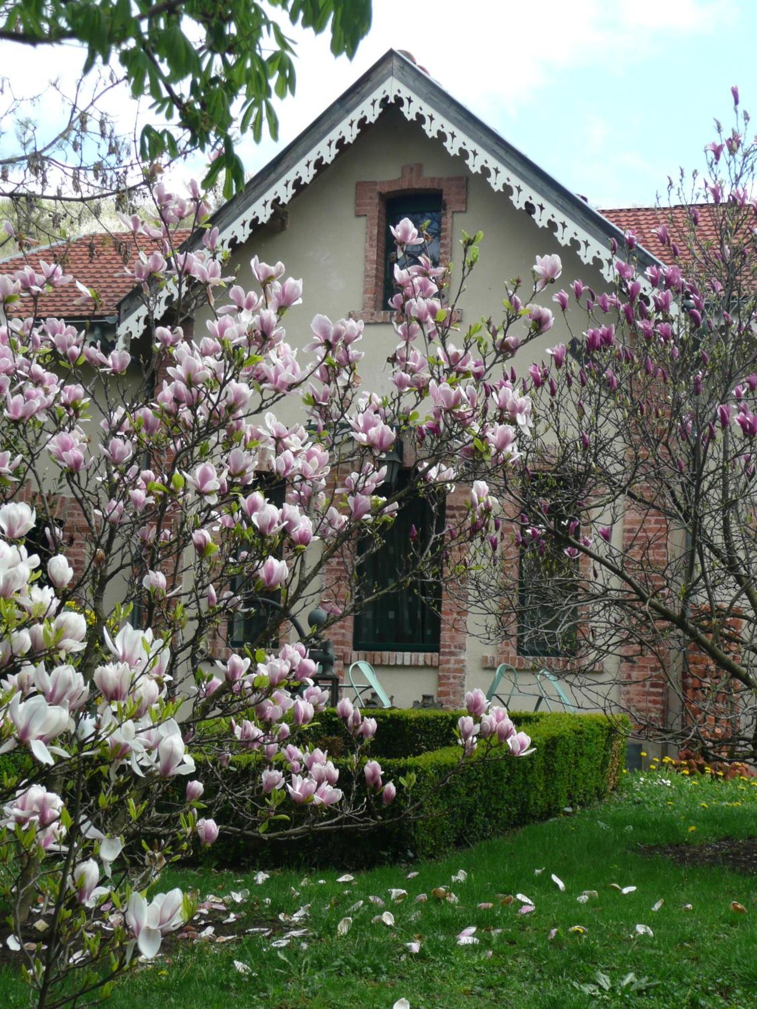 Au Fond De La Cour Bed & Breakfast Veyre-Monton Dış mekan fotoğraf