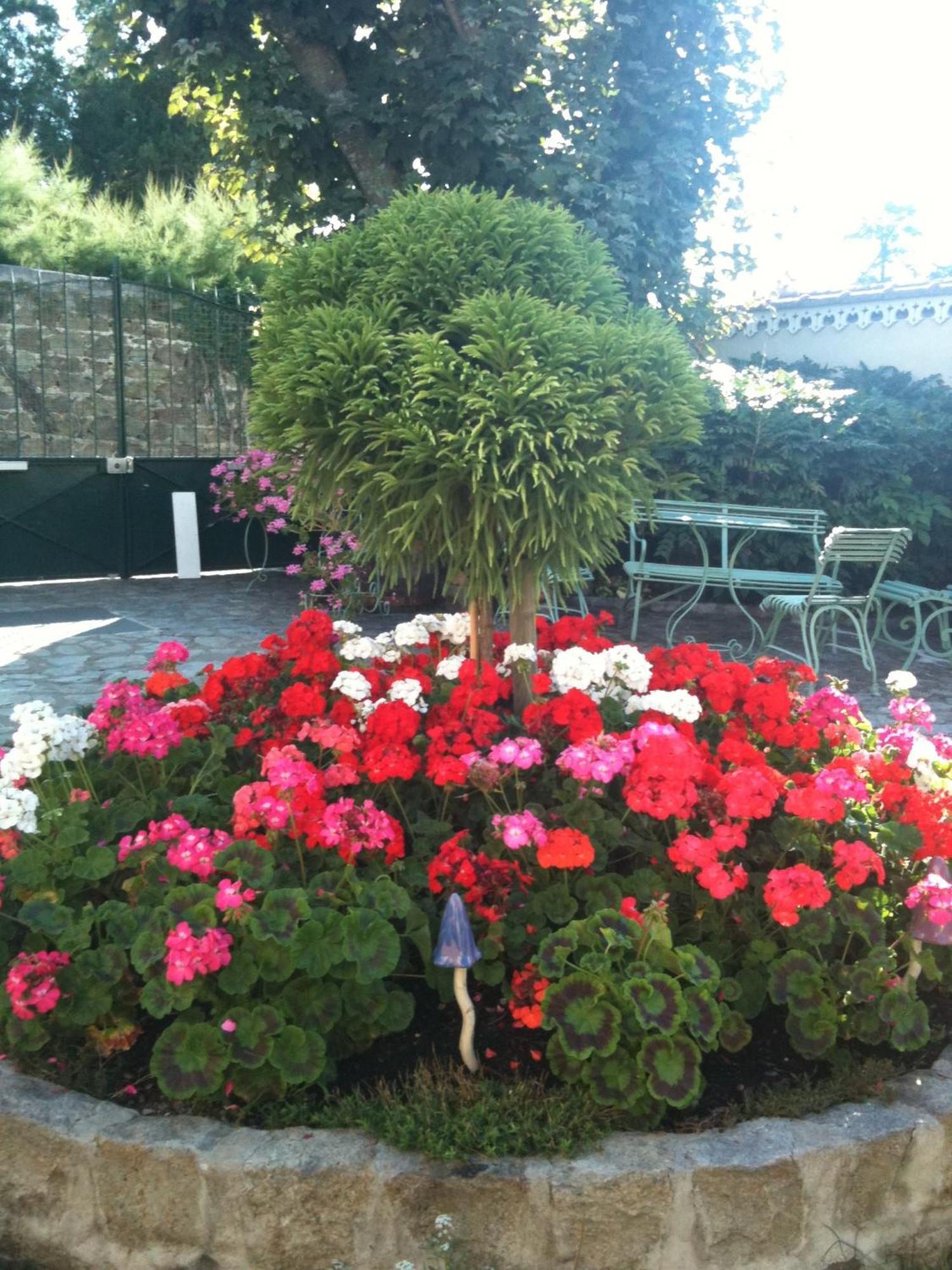 Au Fond De La Cour Bed & Breakfast Veyre-Monton Dış mekan fotoğraf