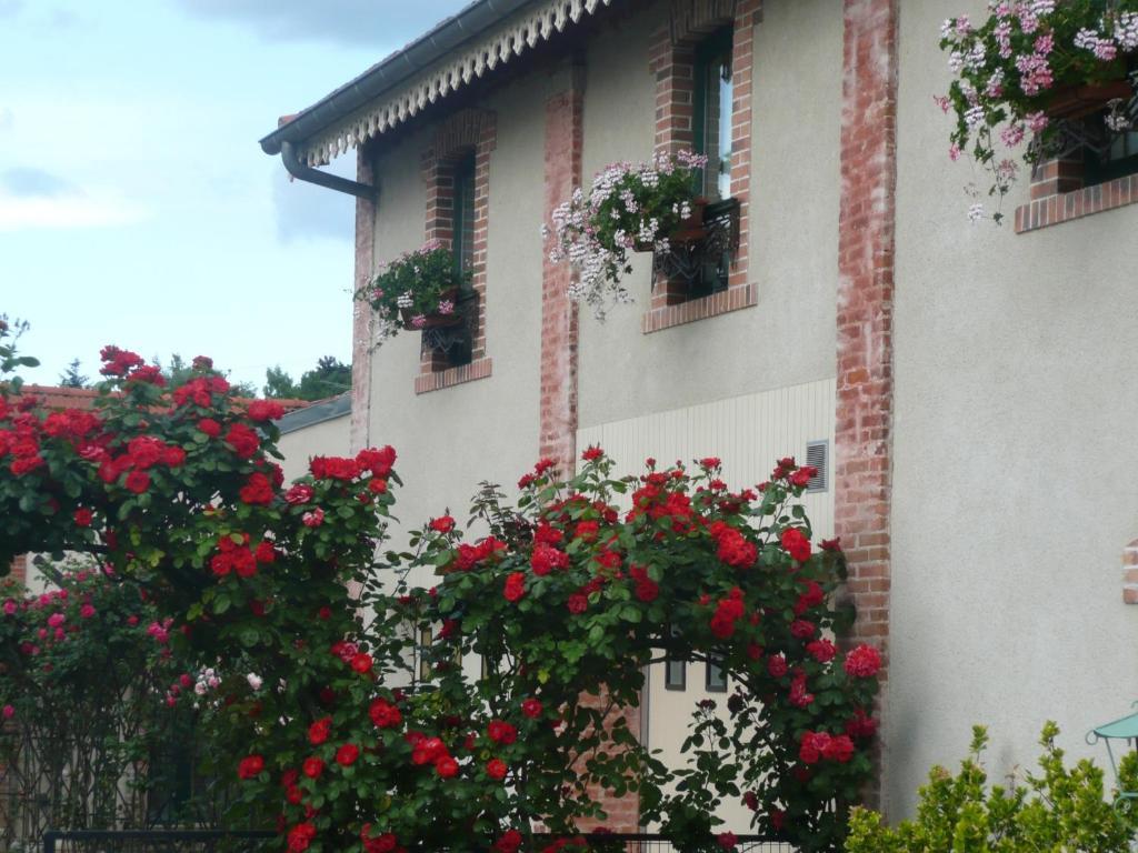 Au Fond De La Cour Bed & Breakfast Veyre-Monton Dış mekan fotoğraf