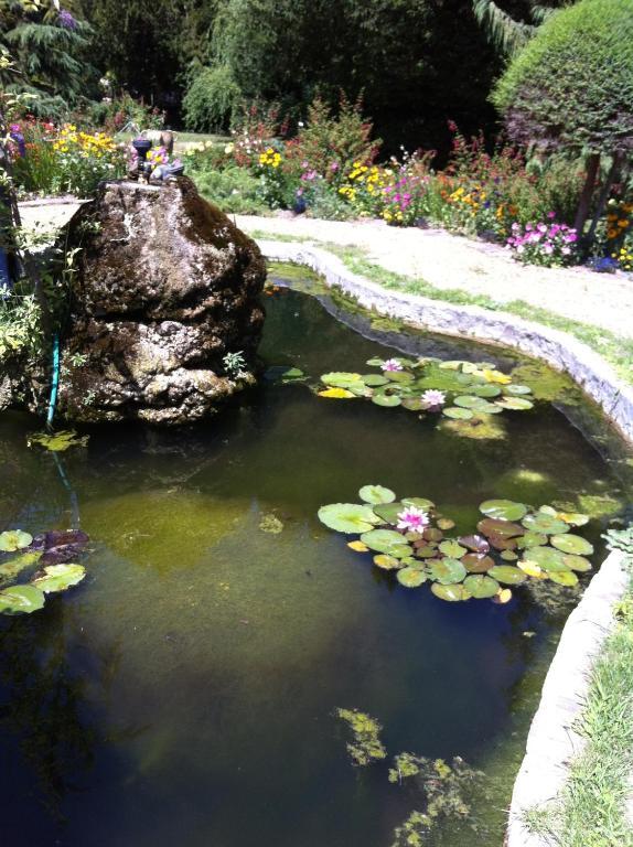 Au Fond De La Cour Bed & Breakfast Veyre-Monton Dış mekan fotoğraf